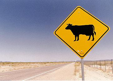 《怪物猎人物语2：毁灭之翼》第2弹免费更新8月5日上线 共斗怪物绚辉龙登场